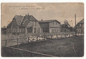 AK Gänsemästerei von Otto Gäde in Schmilau i. Lauenburg 1921 R125 - Bild 1 von 2
