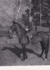 PHOTOGRAPHIE ORIGINALE de l'actrice Renée Saint-Cyr cheval Studio Limot