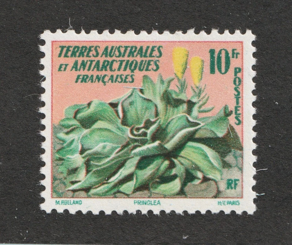 1959 TAAF France Antarctic Sc# 11 - 10fr, Flower, Flora. MH Cv$8.75 - Image 1 of 1