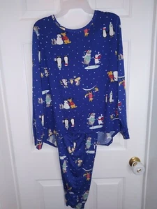 NEW! SECRET TREASURES WOMEN'S Size Medium 8- 10 LONG SLEEVE PAJAMA SET BRIGHT - Picture 1 of 7
