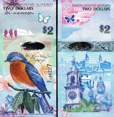 Bermuda 2 Dollars 2009, UNC, Bluebird and Flowers, P-57c Cover