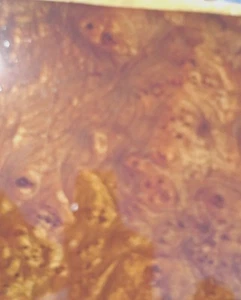 Karpaten Ulme Wurzelholz Fertigholz Furnier Platte 6" x 7" auf 3/4" Sperrholzplatte - Bild 1 von 1