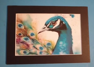 5" x 7" Matted 4" x 6" Print of Painting of Portrait of India Blue Peacock - Picture 1 of 2