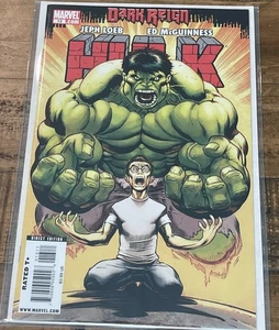 Marvel Comics Hulk #13 August 2009 Ed McGuinness Cover - Picture 1 of 2