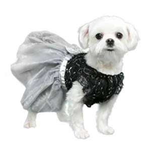 Dog Glamorous Black & Gray Party Dress With Lace,  Pooch Outfitters S Female  - Picture 1 of 6