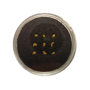 9 echte Goldnuggets aus Deutschland - Gold Nuggets Goldwaschen - Bild 1 von 1