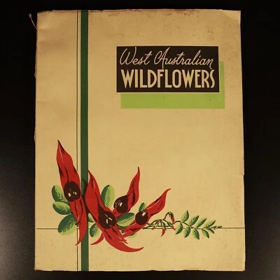 1951 West Australian Wild Flowers by C.A. Gardner Vintage Botanic Reference Book - image 1 of 4