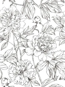 17.3"X240" Black Sketch Line Floral Wallpaper Peel And Stick Vinyl White Sticker - Picture 1 of 10