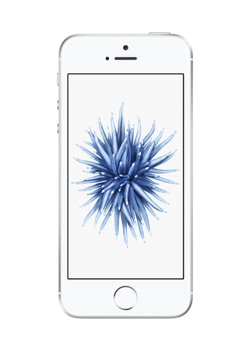 Apple iPhone SE シルバー　本体 Apple iPhone SE 1st Generation - 16GB -(Unlocked) Silver