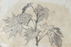 Antique Drawing Original Flower, Floral, Still Life, Nature, Leafs - Picture 1 of 8
