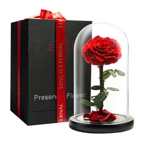Preserved Rose in Glass Dome Eternal Enchanted Forever - Infinity Rose - - Picture 1 of 8