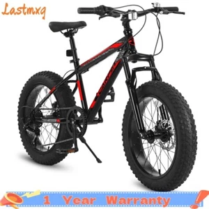 20 Inch 7 Speed Kids Bike,4" Inch Wide Fat Tire Mountain Bike for Children's Day - Picture 1 of 13