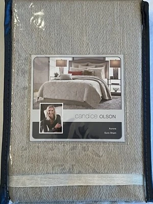 Candice Olson Euro Shams (DOS) 26 X 26 Gris/Bronceado NUEVO Foto 1 de 4