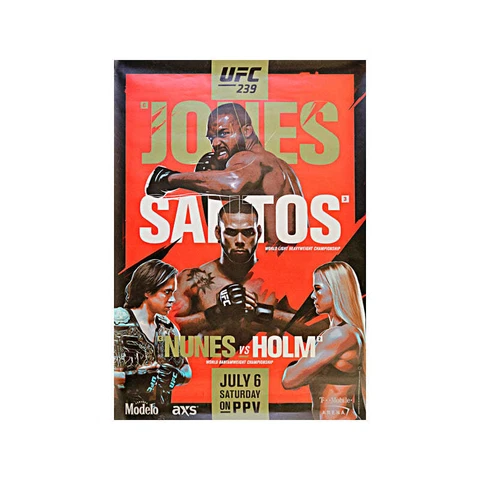 UFC 232: Jones vs Gustafsson 2 27"x39" Event Poster Cover