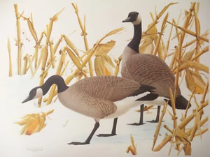 William Zimmerman Geese In Winter Limited Edition Signed Numbered 57/100 Print  - Picture 1 of 9
