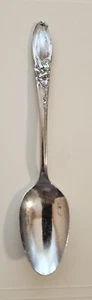 WHITE ORCHID, Teaspoon by Oneida Community. 1953 Silverplate ~6 1/8" - Picture 1 of 5