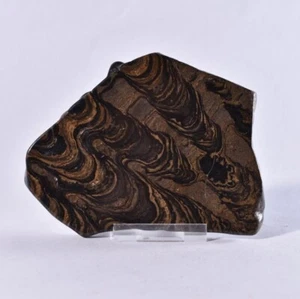 Greysonia Stromatolite Polished Slice Freeform Specimen Display Piece - Bolivia - Picture 1 of 4