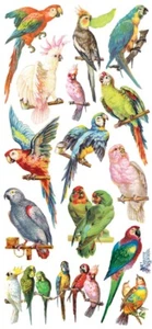 VIOLETTE STICKER - PARROTS - 8" x 3 3/4" (20cm x 9.5cm) - Picture 1 of 1