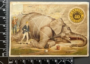 Antike viktorianische Sammelkarte Werbung Ephemera - Jumbo der Elefant - Bild 1 von 2