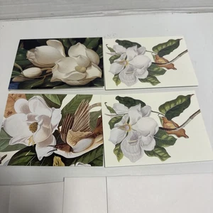 Magnolias. National Gallery of Art Washington Notecards and Envelopes Julia Bell - Imagen 1 de 8