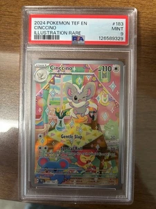 Cinccino 183/162 SV05: Temporal Forces Holo PSA 9 Regrade??? - Picture 1 of 1