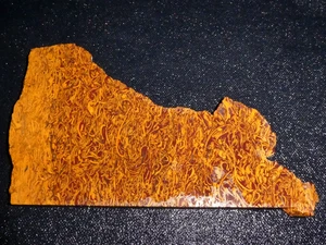 Schriftstein - Kobra Jaspis Platte - 5 3/4" x 3 3/8" -Kabbel - grob - Display - Bild 1 von 3