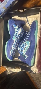 Kobe 5, X ray - Picture 1 of 6