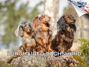 Dackel - Langhaar Hunderasse Kalender 2026 12x18 Made in USA - Bild 1 von 7