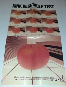 Cartel de 2 caras de radio Portland KINK FM 102 prueba vegetal 13x22" años 80 vintage - Imagen 1 de 6