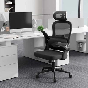 SIHOO M102 Ergonomic High Back Office Desk Chair with Ajustable Lumbar Support - Picture 1 of 10