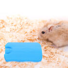  Plastic Pet Ice Box Travel Bunny Cooling Pad Small Animal Mat