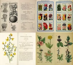 Herbs Botany Botanica Plants Herbal Remedy Medicine Vol.1 - 102 Old Books on DVD - Imagen 1 de 12