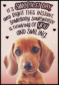Greeting Card - Dachshund Dog Puppy - Sweetest Day - 0250 - Picture 1 of 2