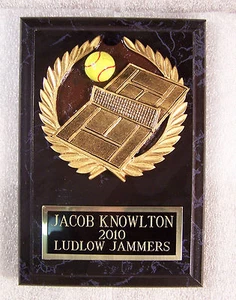 TENNIS AWARD TROPHY PLAQUE FREE CUSTOM ENGRAVING "SUPPORT THE VET" - Imagen 1 de 1