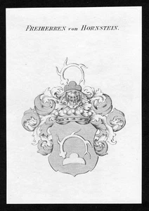 Approx. 1820 Hornstein Coat of Arms Nobility Copperplate Engraving Antique Print - Picture 1 of 1