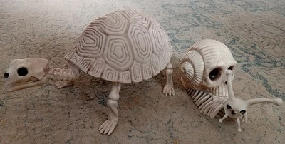 Lote De 2 Animales Esqueleto Tortuga Grande Y Caracol Con Cáscara Calavera Foto 1 de 4
