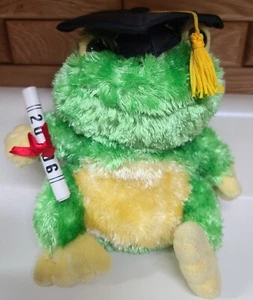 2006 Dan Dee sprechender Frosch Abschluss Plüsch Diplom Mütze grün Stofftier 9 Zoll - Bild 1 von 7