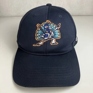 Carolina Disco Türkei Baseball Mütze Kappe Herren Einheitsgröße MiLB OC Sport marineblau - Bild 1 von 8