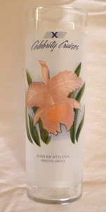 Celebrity Cruises Frosted Glass Tumbler Oriental Prince Drink Recipes  - Picture 1 of 6