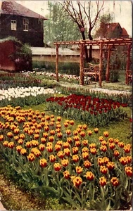 H.W. Buckbee Rockford Seed Farms Rockford Illinois Postcard - Bild 1 von 2