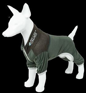 Pet Life 'Embarker' Quick-Dry w/ 4-Way Stretch Full Body Yoga Dog Tracksuit
