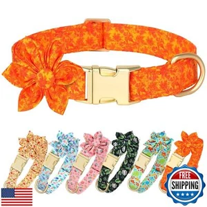 Beirui Cute Girl Dog Collars for Female Dogs, Fall Dog Collar with Flower, So - Picture 1 of 5