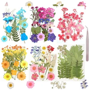 120Pcs Dried Pressed Flowers for Resin Mould Dry Flower Real Leaves Bulk with... - Picture 1 of 7