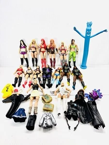 Lote de 15 figuras de lucha libre WWE (mujeres luchadoras) y accesorios - Imagen 1 de 5