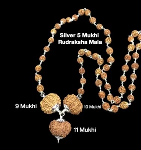 Rudraksha Combination for Total Protection 9,10,11 Mukhi Nepal In Silver Mala - Picture 1 of 3