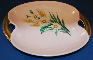 Plato Rosa con Flores Lord Nelson Cerámica Inglaterra Ovalado Pintado a Mano A Taylor - Imagen 1 de 4