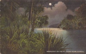 MOONLIGHT: St. Johns River, FLORIDA - 1923 - Picture 1 of 2
