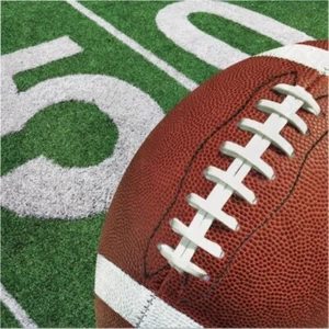 Football Party Paper Lunch Napkins 16 Pack Party Decorations - Picture 1 of 1