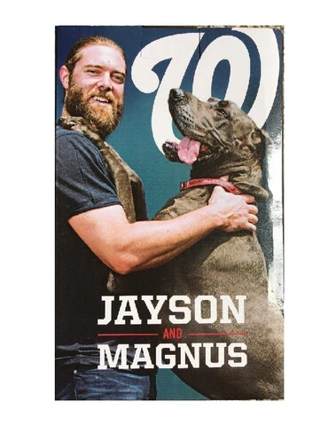 2016 Nationals JAYSON WERTH Washington Sga Pet Figurine Jason & Dog Magnus NATS Cover