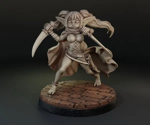Personaje Jugable Dungeons & Dragons - Duende Femenino - Pícaro, Luchador, Guerrero - Imagen 1 de 15